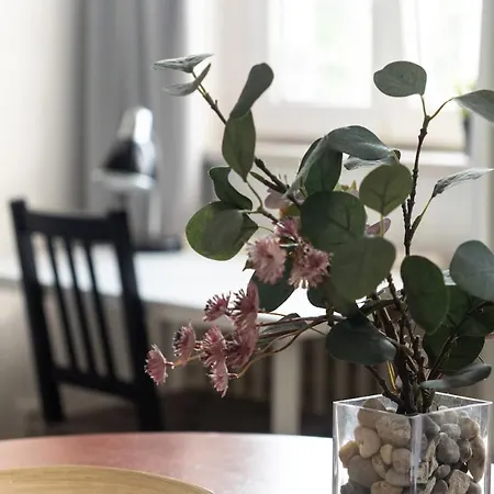 Homestay szállás With 2 Beds In The Old Town *